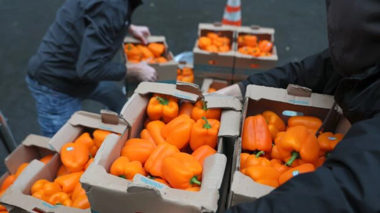 White House to provide partial food aid after court order