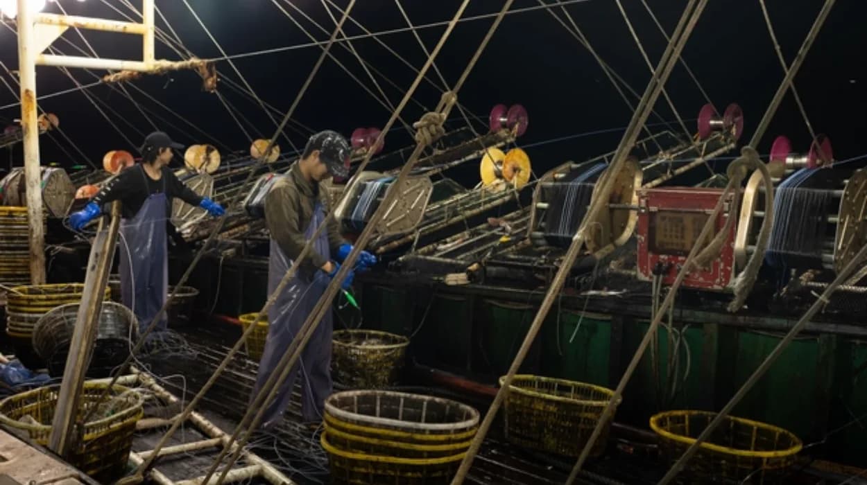 US Congress bans Chinese seafood in schools and creates liaison