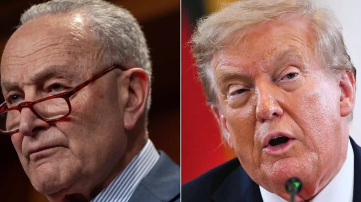 Schumer slams Trump over mail-in ballot comments
