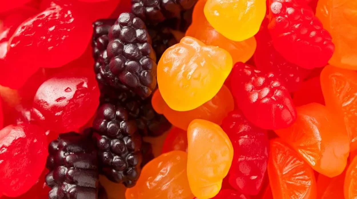 Foodberry announces strategic partnership with Bel US group for snack innovations