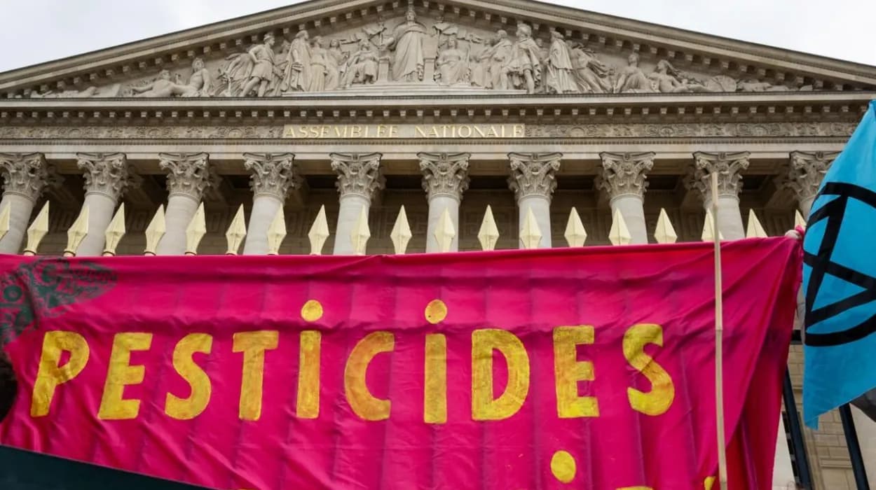 France tightens import rules on EU-banned pesticides