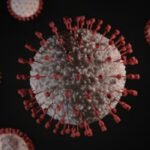 Arizona plague death confirmed in Coconino County 1