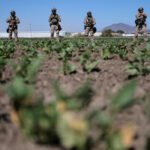 California farmworker death during immigration raid Image 1