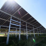 EU solar energy decline 2025 Impact of subsidy cuts Image 1