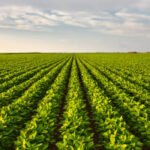 Ohio Law Enables Affordable Health Insurance for Farmers Image 1