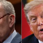 Schumer slams Trump over mail in ballot comments 1