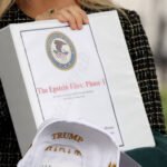 Trump White House manage fallout of Jeffrey Epstein files Image 1