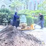 Trump slams contractor over rose garden damage 1
