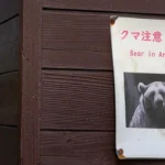 U.S. State Department issues bear attack warning 1