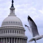 US Congress Faces Pressure to Save Satellite Collision Prevention System Image 1