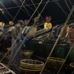 US Congress bans Chinese seafood in schools and creates liaison 1