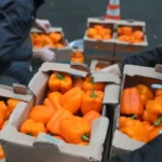 White House to provide partial food aid after court order 1