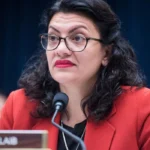 rashida tlaib michigans palestinian american congresswoman 1