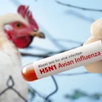 senate leaders press usda for strong bird flu vaccine plan 1