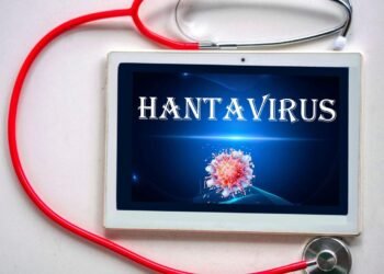 Hantavirus outbreak 2026 emergency response team on remote island