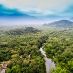 Amazon rainforest recovery aerial view showing protected rainforest areas in 2026