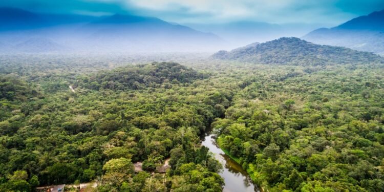 Amazon rainforest recovery aerial view showing protected rainforest areas in 2026