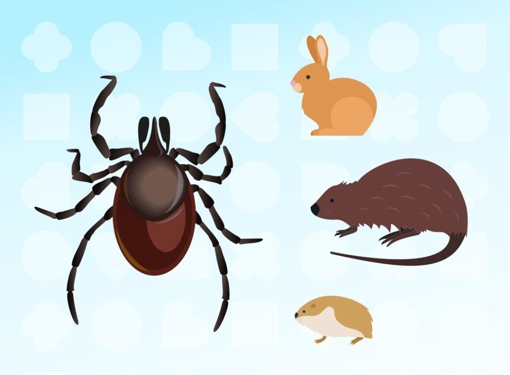 Health officials investigating hantavirus outbreak 2026 exposure risks