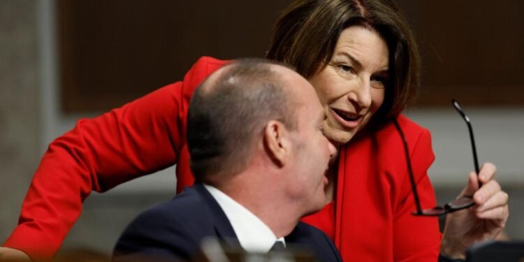 Artificial intelligence debate during Big Tech investigation hearing