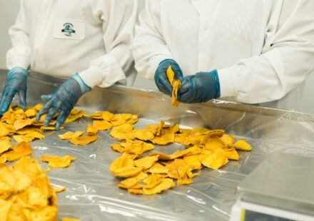 Food safety standards remain a key focus following consumer concerns about packaged food products in 2026